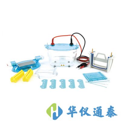 北京六一 DYCZ-24K、DYCZ-24KS型雙板垂直電泳儀