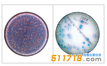法國interscience Scan 300全自動菌落計(jì)數(shù)器1.png