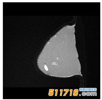 美國CIRS 073多模式乳房活檢和超聲波訓(xùn)練模體4.png